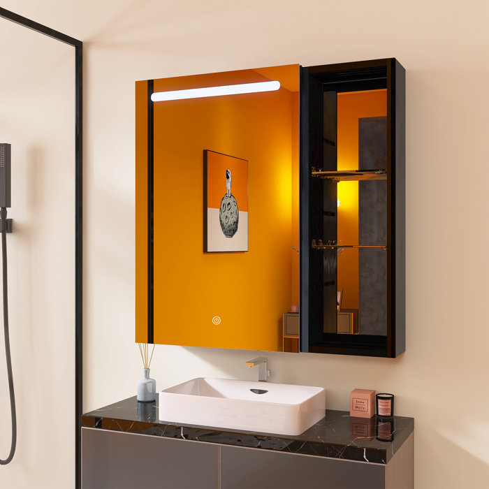 Aula 30'' W 30'' H Wall Mounted Frameless Medicine Mirror Wayfair